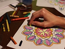 Бизнес-леди отказалась от карьеры в международной корпорации ради комисков