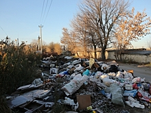 В Волгоградской области собственника обязали очистить сельхозугодья от мусора