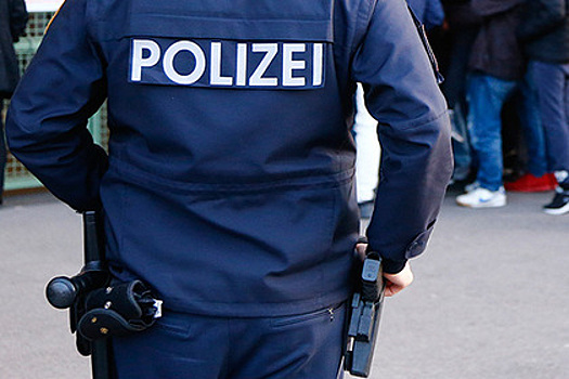 Австрийский школьник помог предотвратить массовое убийство