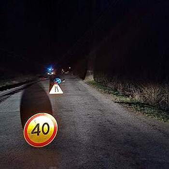 В Славском районе Nissan насмерть сбил 69-летнего мужчину