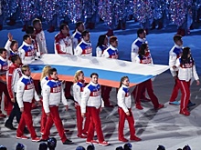 Комиссия WADA намерена избавиться от россиян на Олимпиаде