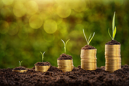 Как национальные проекты повлияют на динамику российской экономики