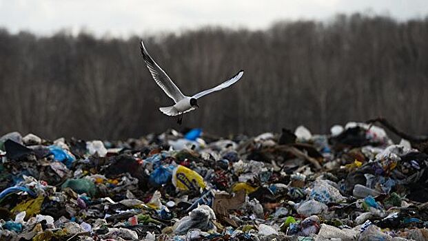 Власти Сахалина заявили, что "мусорный" коллапс не грозит региону