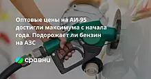 Оптовые цены на АИ-95 достигли максимума с начала года. Подорожает ли бензин на АЗС