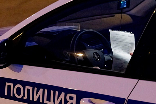 Мужчина из Великих Лук фальсифицировал анализы после задержания за пьяное вождение