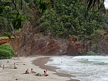 На Гавайях введен режим ЧП из-за вируса Зика