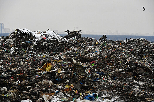 Заводы по переработке мусора в Подмосковье построят в течение двух лет