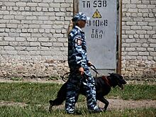 В результате взрыва в Дагестане погибли два человека