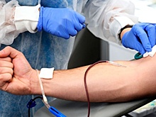 Важна любая помощь: как отразилась на донорстве эпидемия COVID-19 в стране