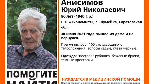 В дачном поселке под Саратовом разыскивают пенсионера в пестрой рубашке