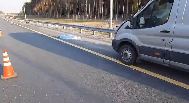 Водитель иномарки погиб в ДТП на трассе М-12 в Нижегородской области