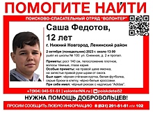 12-летний мальчик пропал по дороге из школы в Нижнем Новгороде