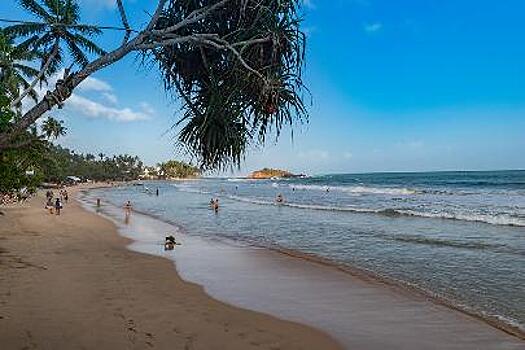 Российских туристов ждут на Шри-Ланке