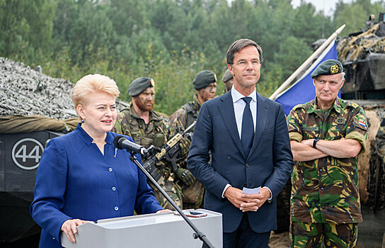 Фотофакт: Грибаускайте встретилась с премьер-министром Нидерландов