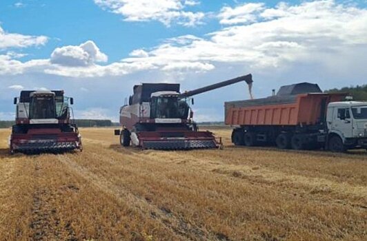 В «Боевом» хозяйстве Омского АНЦ получили хорошую урожайность зерновых в сложных условиях