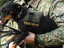 Таможенники Союзного государства оценили эффективность работы мобильных групп