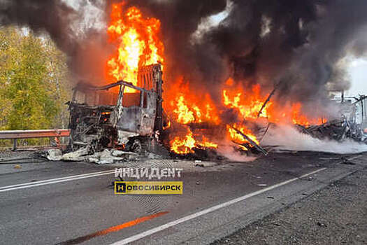 В Новосибирской области произошло ДТП с возгоранием