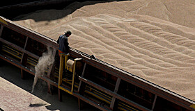 Евросоюз введет пошлины на российское и белорусское зерно