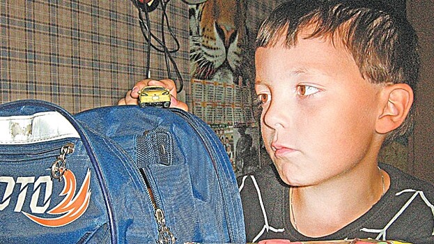 Плюсы и минусы семейного образования