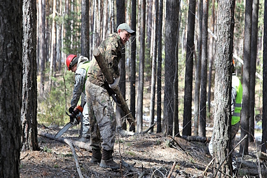 Глава министерства лесного хозяйства Татарстана подвел итоги природоохранных акций в регионе