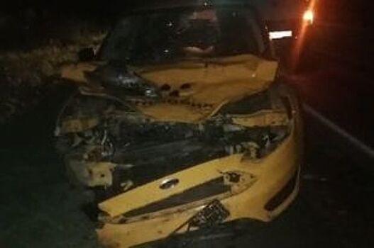 В Рыбинском районе водитель такси сбил лося