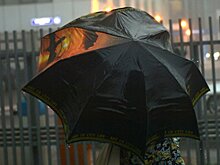Москвичи пережили самую дождливую ночь