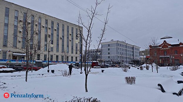 23 февраля в Пензенской области будет пасмурно и ветрено