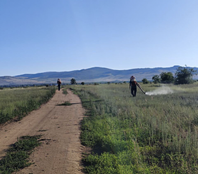 В МВД России подведены итоги региональных межведомственных комплексных оперативно-профилактических операций «Мак–2025»