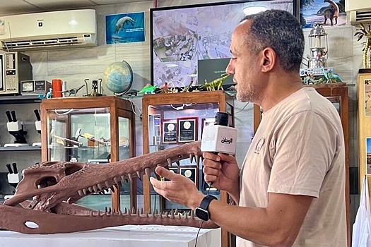 Египетские палеонтологи открыли древнего морского крокодила