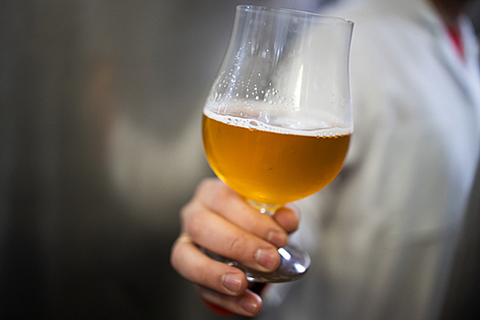 Бюджет РФ теряет до 30 млрд рублей из-за незаконного оборота пива — правительство