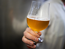 Бюджет РФ теряет до 30 млрд рублей из-за незаконного оборота пива — правительство