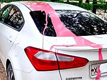 Неизвестные облили розовой краской белую Kia в Новомичуринске