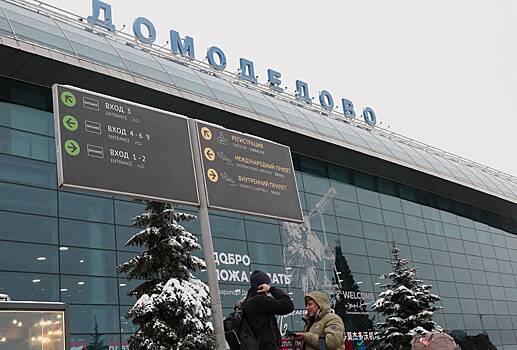 Новый владелец Домодедово раскрыл подробности его покупки