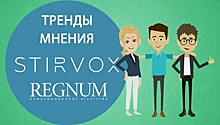 Зеркало народа: Кто думает так же, как вы? Говорят ИА REGNUM и STIRVOX