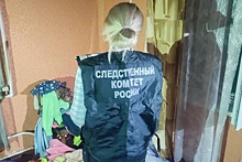 В Псковской области женщину подозревают в убийстве трех детей