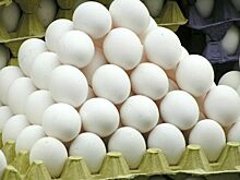 ФАС возбудила дело в отношении птицефабрик Костромской области из-за повышения цен на яйца