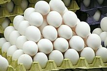 ФАС возбудила дело в отношении птицефабрик Костромской области из-за повышения цен на яйца