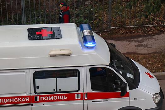 Попавшая в глаз россиянина во время ДТП палка проткнула ему мозг