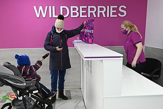 В Госдуме раскрыли детали встречи с бастующими сотрудниками Wildberries