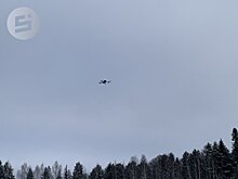 Лесничества Удмуртии получили 20 новых беспилотников