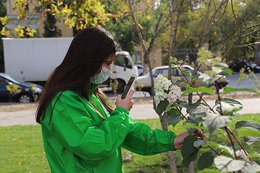 В Волгограде проходит «ШедеврALный флэшмоб»