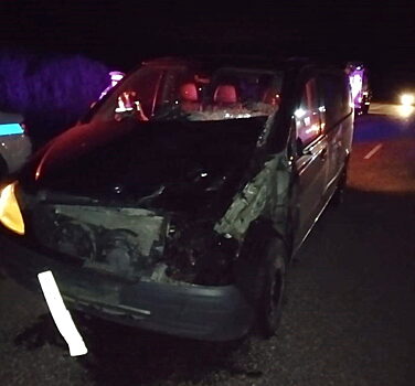 Mercedes споткнулся о корову