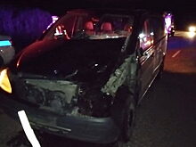 Mercedes споткнулся о корову