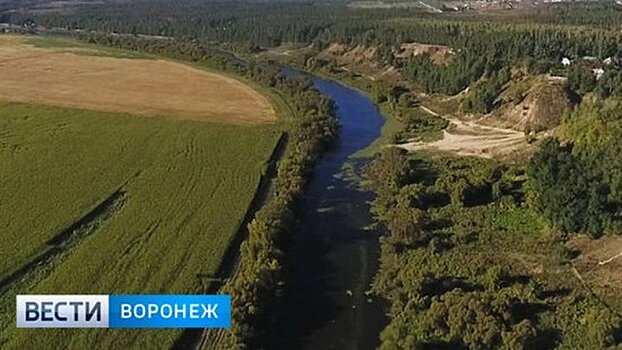 Спасённое от осушения озеро Круглое под Воронежем получит статус памятника природы