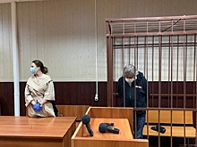 Политолог раскусил стратегию защиты Ефремова