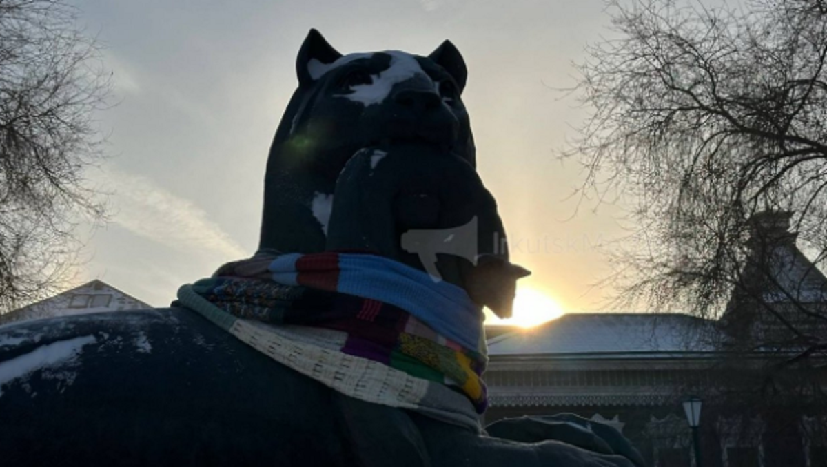 В Иркутске установили личности тех, кто украл шарф у символа города — бабра