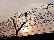 Во время обмена военнопленными в Россию вернулся еще один житель Удмуртии
