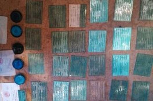 Красноярская ОПГ завезла в край более 500 нелегалов за год