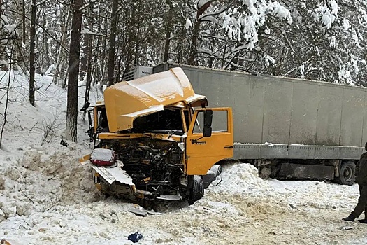 Четыре человека погибли в ДТП в Пензенской области