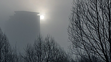 В Крыму предупредили о сильном тумане